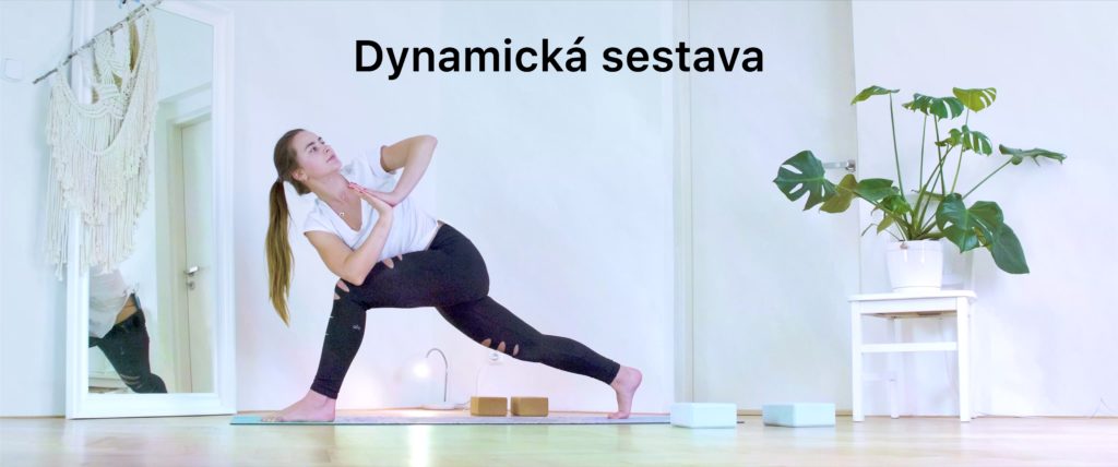 Dynamická sestava